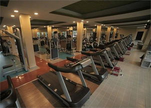 健身熱潮席卷全國 訓(xùn)練健身器材市場前景廣闊