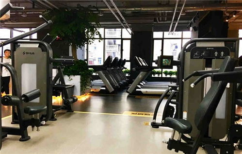 戶(hù)外健身器材 襄陽(yáng)舒揚(yáng)文體用品公司 圖